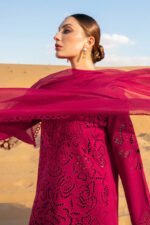 Rangrasiya Rameen: Cotton Chikankari Ensemble - Image 4