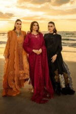 Rangrasiya Rameen: Cotton Chikankari Ensemble - Image 5
