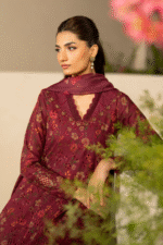 Iznik | Unstitched Lawn Chikankari Suit with Chiffon - Image 4