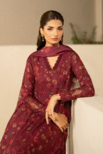 Iznik | Unstitched Lawn Chikankari Suit with Chiffon - Image 5