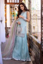 Maya Ali Pret: Chiffon, Net & Zari Replica
