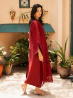 IZEL Red Cherry: Master Blaster Chicken Kari - Image 3